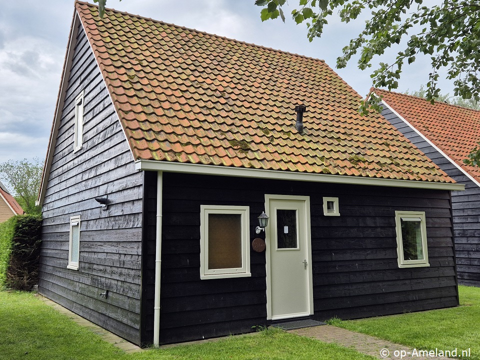 Buitenaanzicht Esdoorn Buitenaanzicht Esdoorn